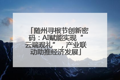 随州寻根节创新密码：AI赋能实现“云端观礼”，产业联动助推经济发展