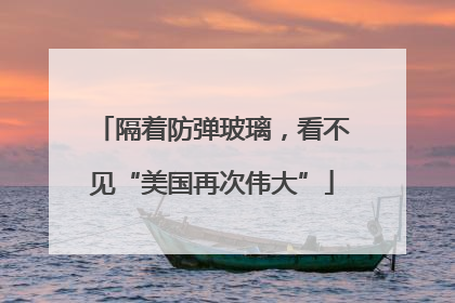 隔着防弹玻璃，看不见“美国再次伟大”