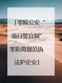 零陵公安“项目警官制”零距离规范执法护企安