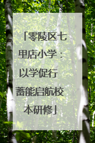 零陵区七里店小学：以学促行 蓄能启航校本研修
