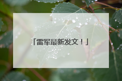 雷军最新发文！