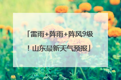 雷雨+阵雨+阵风9级！山东最新天气预报