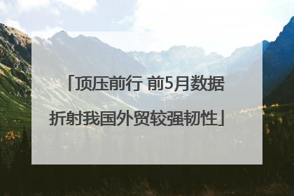 顶压前行 前5月数据折射我国外贸较强韧性