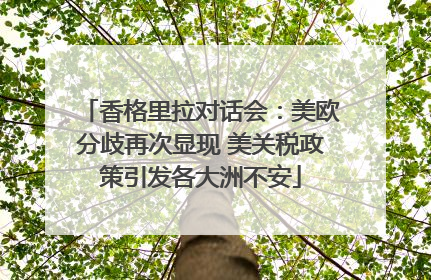 香格里拉对话会：美欧分歧再次显现 美关税政策引发各大洲不安