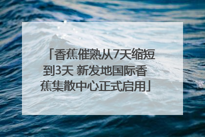 香蕉催熟从7天缩短到3天 新发地国际香蕉集散中心正式启用