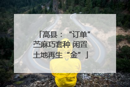 高县：“订单”苎麻巧套种 闲置土地再生“金”