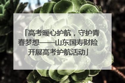 高考暖心护航，守护青春梦想——山东国寿财险开展高考护航活动