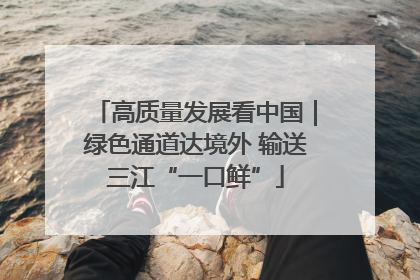 高质量发展看中国｜绿色通道达境外 输送三江“一口鲜”