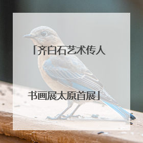 齐白石艺术传人书画展太原首展