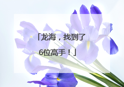 龙海，找到了6位高手！