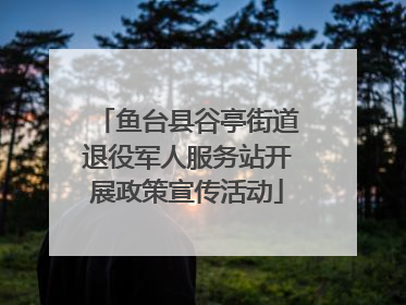 鱼台县谷亭街道退役军人服务站开展政策宣传活动