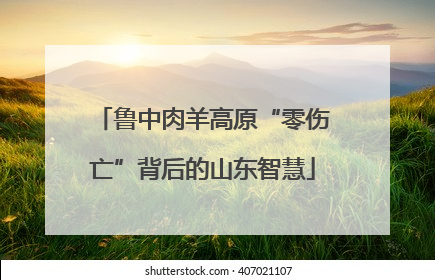 鲁中肉羊高原“零伤亡”背后的山东智慧