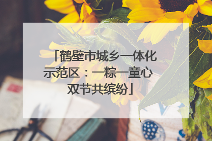 鹤壁市城乡一体化示范区：一粽一童心 双节共缤纷