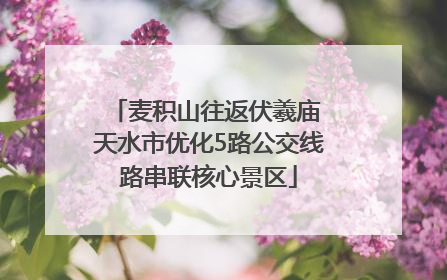 麦积山往返伏羲庙 天水市优化5路公交线路串联核心景区