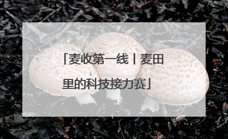 麦收第一线丨麦田里的科技接力赛