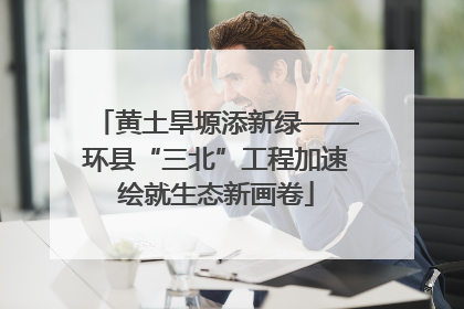 黄土旱塬添新绿——环县“三北”工程加速绘就生态新画卷