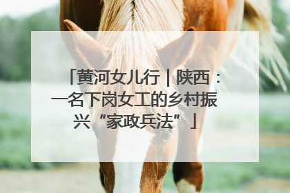 黄河女儿行｜陕西：一名下岗女工的乡村振兴“家政兵法”