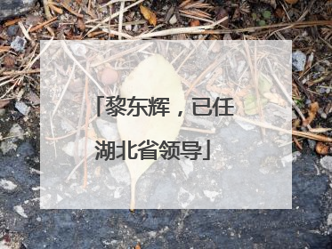 黎东辉，已任湖北省领导