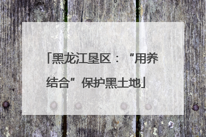 黑龙江垦区：“用养结合”保护黑土地
