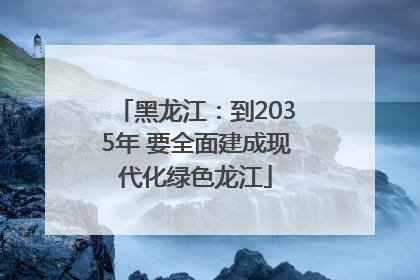 黑龙江：到2035年 要全面建成现代化绿色龙江