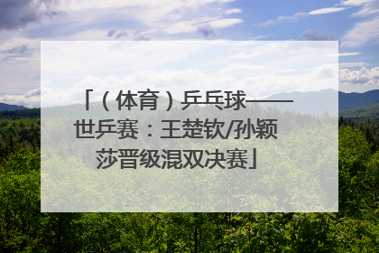 （体育）乒乓球——世乒赛：王楚钦/孙颖莎晋级混双决赛