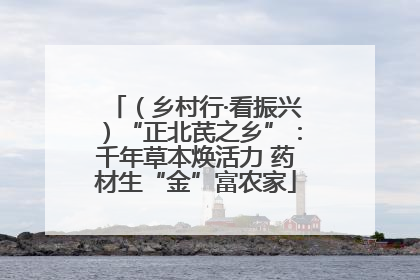 （乡村行·看振兴）“正北芪之乡”：千年草本焕活力 药材生“金”富农家