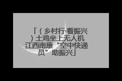 （乡村行·看振兴）土鸡坐上无人机 江西南康“空中快递员”助振兴