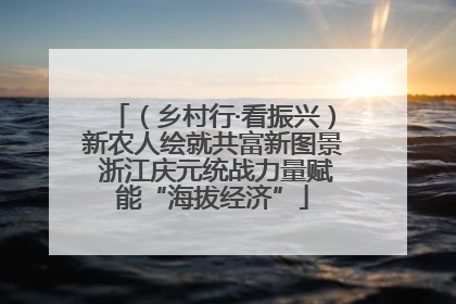 （乡村行·看振兴）新农人绘就共富新图景 浙江庆元统战力量赋能“海拔经济”