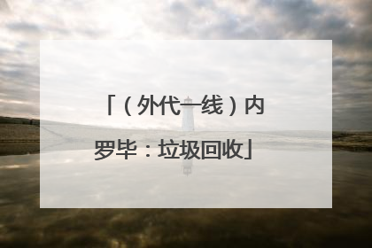 （外代一线）内罗毕：垃圾回收