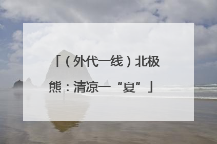 （外代一线）北极熊：清凉一“夏”