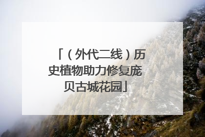 （外代二线）历史植物助力修复庞贝古城花园