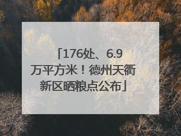 176处、6.9万平方米！德州天衢新区晒粮点公布