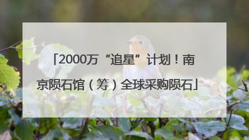 2000万“追星”计划！南京陨石馆（筹）全球采购陨石