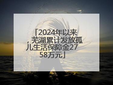 2024年以来，芜湖累计发放孤儿生活保障金2758万元