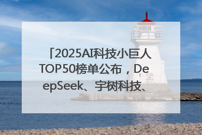2025AI科技小巨人TOP50榜单公布，DeepSeek、宇树科技、蘑菇车联等企业荣誉上榜