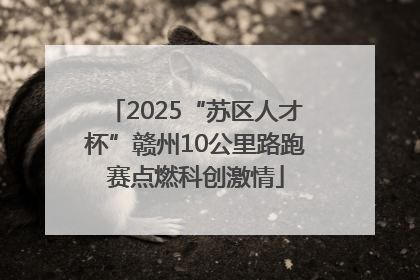 2025“苏区人才杯”赣州10公里路跑赛点燃科创激情