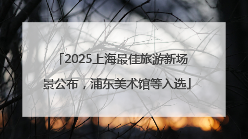 2025上海最佳旅游新场景公布，浦东美术馆等入选