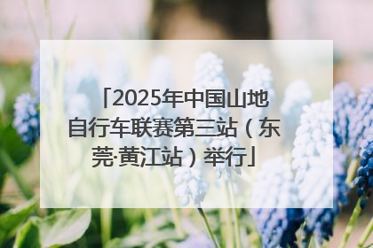 2025年中国山地自行车联赛第三站（东莞·黄江站）举行