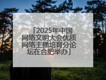 2025年中国网络文明大会优质网络主播培育分论坛在合肥举办