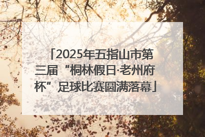 2025年五指山市第三届“桐林假日·老州府杯”足球比赛圆满落幕