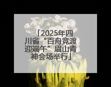 2025年四川省“百舟竞渡迎端午”眉山青神会场举行