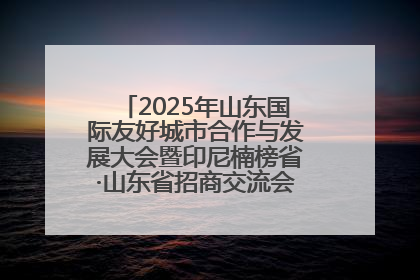 2025年山东国际友好城市合作与发展大会暨印尼楠榜省·山东省招商交流会在济南槐荫举行