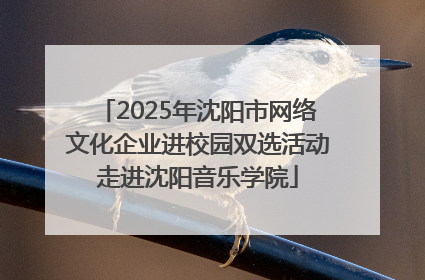 2025年沈阳市网络文化企业进校园双选活动走进沈阳音乐学院