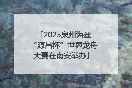 2025泉州海丝“源昌杯”世界龙舟大赛在南安举办