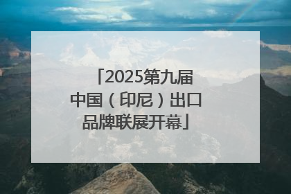 2025第九届中国（印尼）出口品牌联展开幕