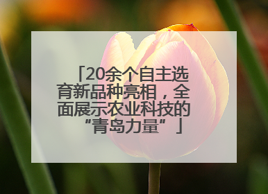 20余个自主选育新品种亮相，全面展示农业科技的“青岛力量”