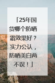 25年国货哪个防晒霜效果好？实力公认，防晒美白两不误！
