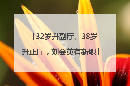 32岁升副厅、38岁升正厅，刘会英有新职