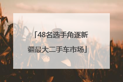 48名选手角逐新疆最大二手车市场