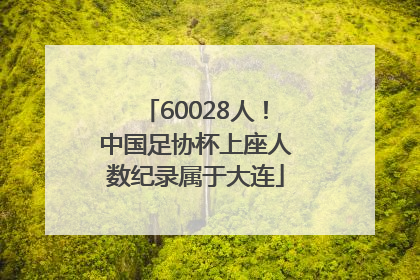 60028人！中国足协杯上座人数纪录属于大连
